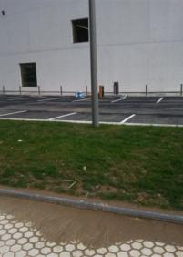 Acera sin limpiar desde noviembre del 2010