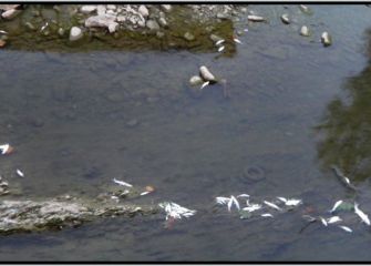 Desastre ecologico en el rio Oria