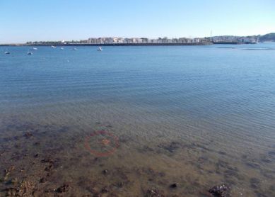 Tumbona en el agua