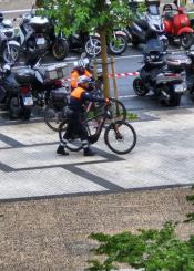 Denuncias facilonas
