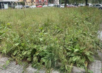Parterres de Intxaurrondo