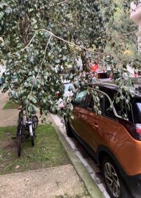 Aparcar en la Jungla