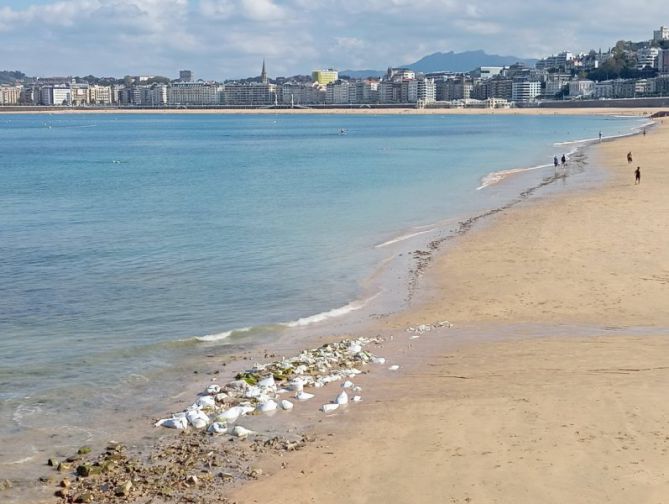 Otros en Donostia-San Sebastián Otros en Donostia-San Sebastián