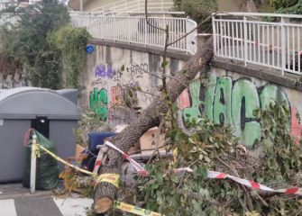 Contenedores Ategorrieta