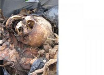 ¿A dónde van a parar nuestros huesos?