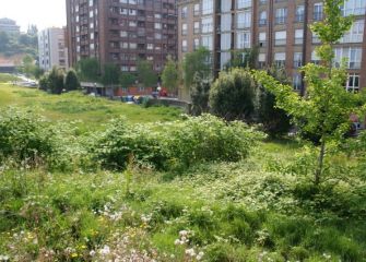 ABANDONO DEL PARKE AMAIUR