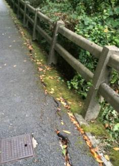 ACERA CON RIESGO DE DESPRENDIMIENTO