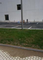 Acera sin limpiar desde noviembre del 2010