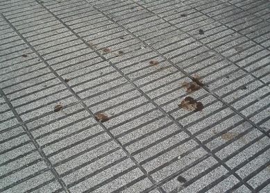 ACERAS DE BERAUN