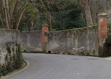 Aceras en el Paseo de la Fe