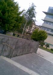 Alimentando a las palomas (y II)