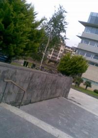 Alimentando a las palomas (y II)