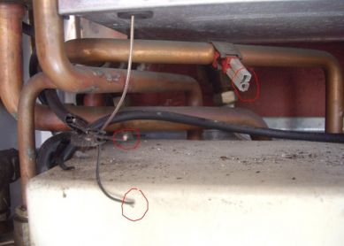 Alojamiento gratuito a ratas