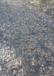 Ametzagaina parkea peligroso para las piernas