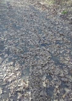 Ametzagaina parkea peligroso para las piernas