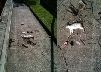 Añorga Txiki, olvidado