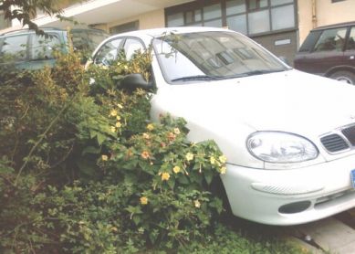 Aparcar a cualquier precio