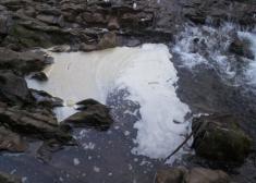 Aparra Leitzaran ibaian / Más espuma en el río Leitzaran