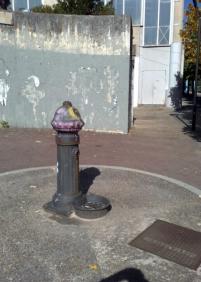 ¡Aquí no hay quien beba!