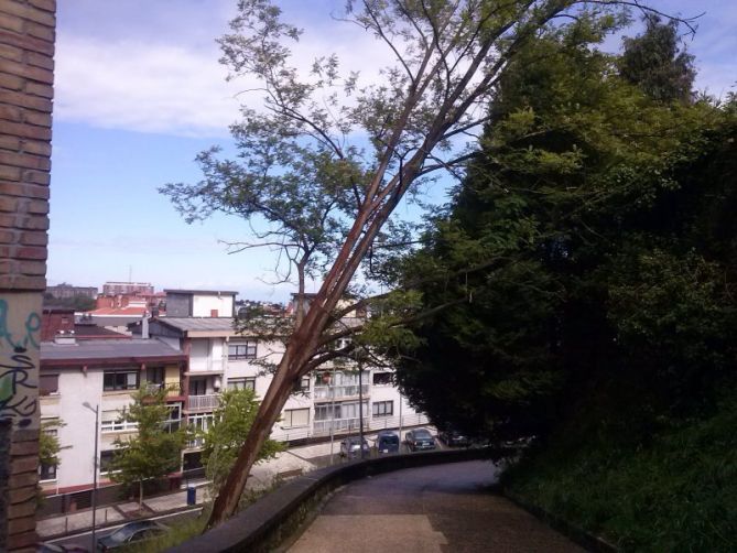 Otros en Donostia-San Sebastián