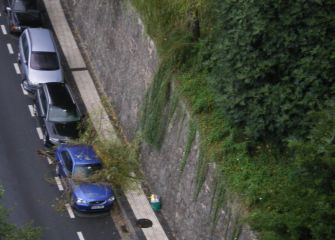 ARBOL  DERRIBADO  EN  LARRATXO