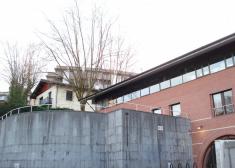 Arbol Ruidoso y largo