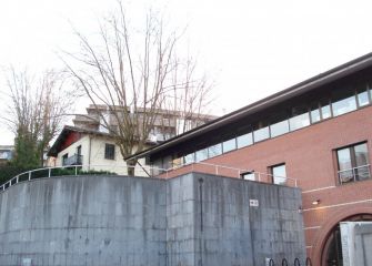 Arbol Ruidoso y largo