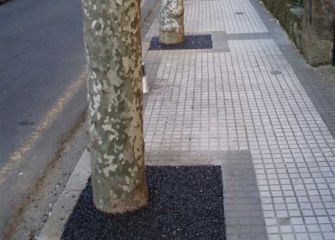 Arboles ahogados en el asfalto