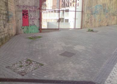 ARBOLES DESAPARECIDOS