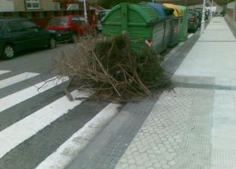 arbustos en la calle Brunet sin retirar