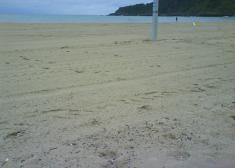 Arena sucia en San Sebastián