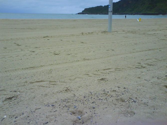 Residuos en Donostia-San Sebastián