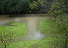 autovia y prepotencia