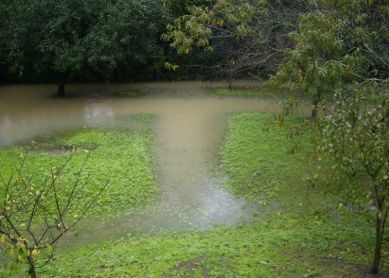 autovia y prepotencia