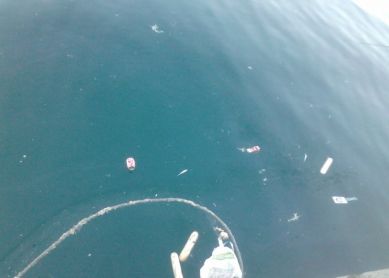 Barcos pesqueros del puerto de Ondarribia
