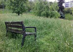 Basoerdi parkea siendo realidad