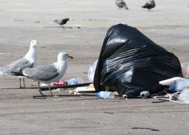 Basura