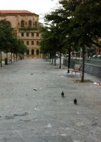 Basura en la Plaza Cataluña