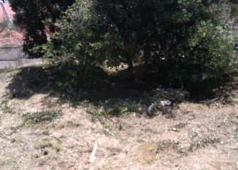 Basura en Urgull