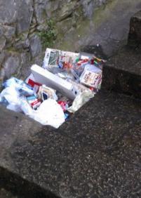 Basura sin recoger