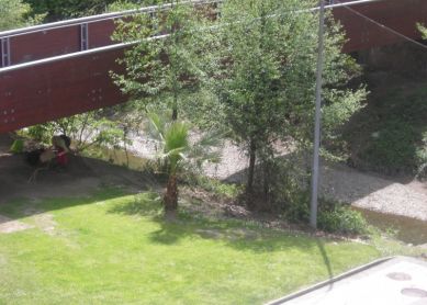 Basuras en el río Oiartzun