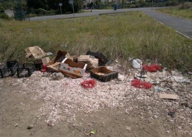 Basuras veraniegas permanentes