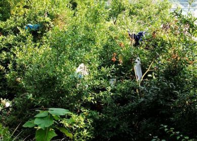 BASURERO "CONTROLADO"