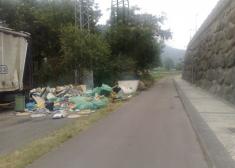 BASURERO EN CAMINO A ZUBIETA