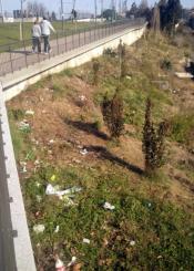 Basurero en el Skate Park de Irun