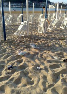 BASURERO PLAYERO