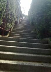 Berio subida a la ikastola, residencia ancianos, casas, parke,etc.