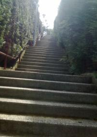 Berio subida a la ikastola, residencia ancianos, casas, parke,etc.