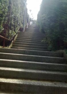 Berio subida a la ikastola, residencia ancianos, casas, parke,etc.