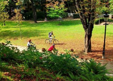 BICICLITEROS POR EL PARQUE